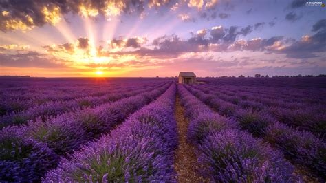 Clouds Great Sunsets Field House Lavender For Desktop Wallpapers
