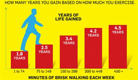 How Exercise Increases Lifespan Regardless Of Past Activity Levels