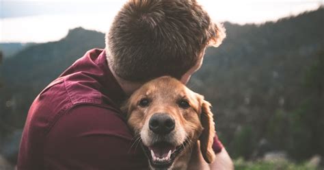 Estudio Confirma Que Abrazar A Un Perro Puede Reducir El Estrés Y