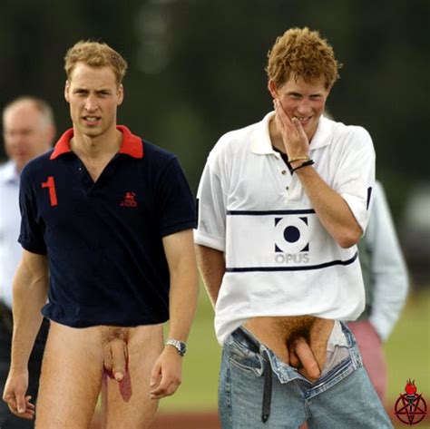 Post Fakes Prince Harry Prince William