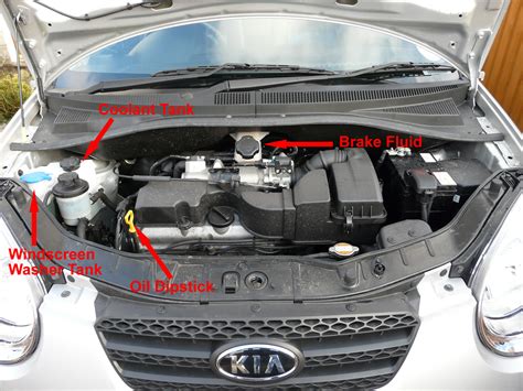 A type of hat that covers the ears and is tied under the chin, worn by babies or, especially in…. Under_Bonnet