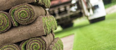 Turf Laying Specialists Hire A Turf Layer Climbing Wild Gardeners