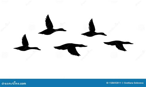 Vector Black Flock Of Flying Duck Silhouette Stock Vector
