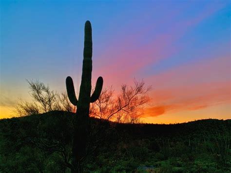 A national monument in arizona, home to rare species and sacred native american burial sites, is being blown up this week as part of construction for president trump's border wall, customs and border protection confirmed to cbs news. Organ Pipe Cactus National Monument (Ajo) - 2020 All You ...