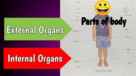Parts Of Our Body External Organs Internal Organs Ram English Classes YouTube