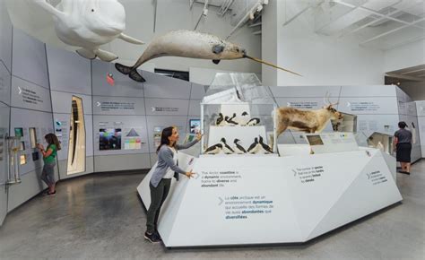 New Permanent Arctic Exhibit In Canadas Capital