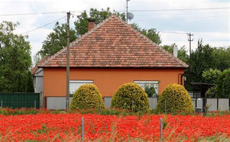Landet gränsar till österrike, slovakien, ukraina, rumänien, serbien, kroatien och slovenien. Ungarn - Land der Mohnblume | VielFalten