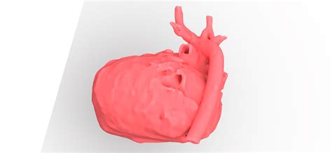 3d Printed Heart Trinota