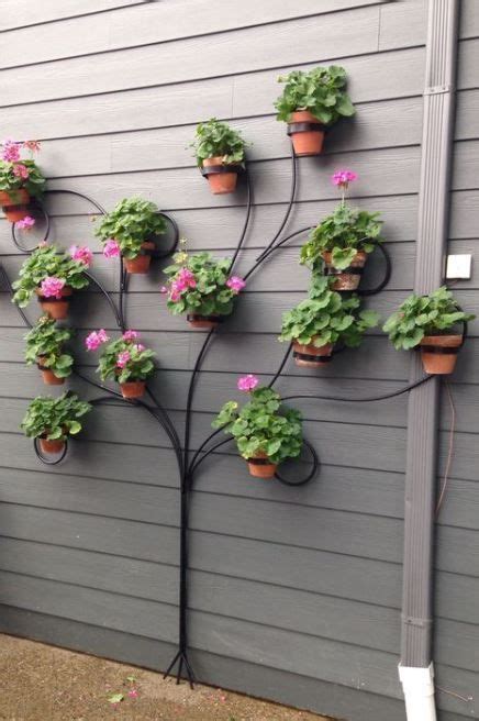 Unique Succulent Garden Ideas For Home Decor