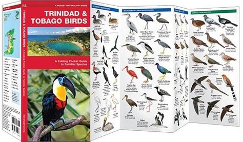 Trinidad And Tobago Birds Pocket Naturalist® Guide