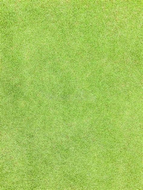 Natural Grass Texture Pattern Background Golf Course Turf Lawn From Top