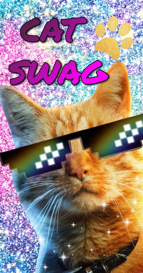 Cat Cat Wearing Shades Animals Swag Catwearingshades Cute Funny