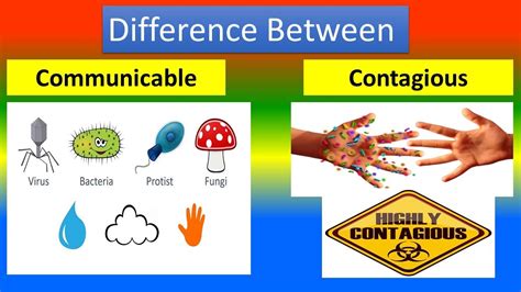 Difference Between Communicable And Contagious Diseases Youtube