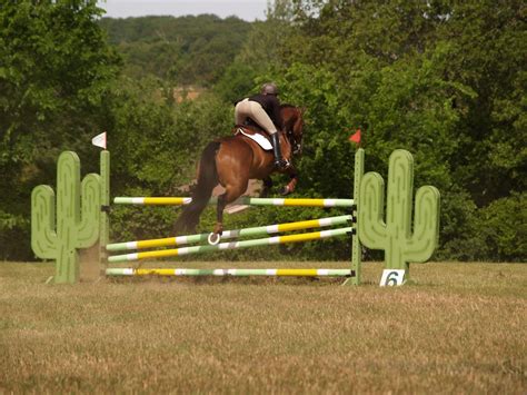 Free Bay Horse Jumping Stock Photo - FreeImages.com