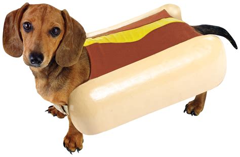 Skill Wiring Famous Hot Dog Puppy Costume Ideas