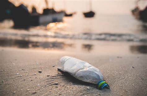 5 Ways Plastic Harms The Environment Twice The Ice
