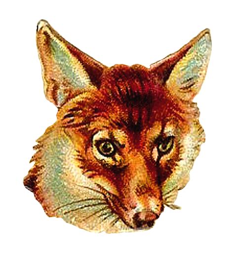 Vintage Fox Face Illustration