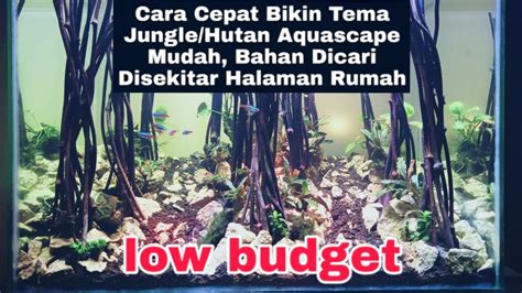 Pilihan tanaman dan ikannya beragam, serta sering dibudidayakan. Cara Membuat Tema Jungle/Hutan Aquascape Mudah Cuma 11 ...