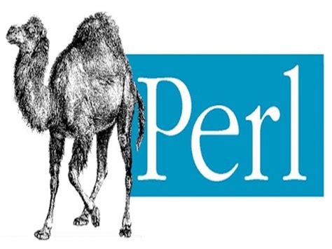 9 Tech Skills That Pay Over 120000 And Are In Demand Perl