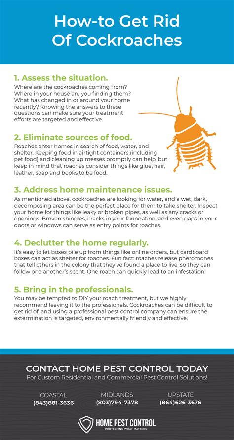 How To Get Rid Of Cockroaches Roach Control Home Pest Control