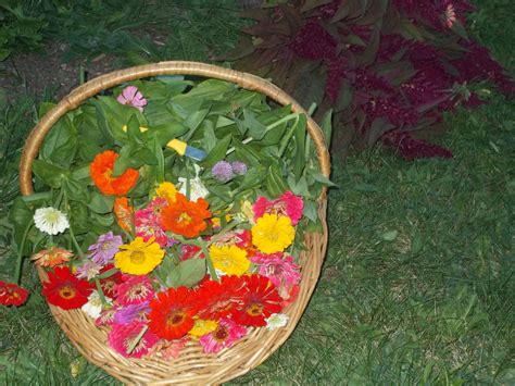 Just Gathered Picnic Basket Picnic Flowers
