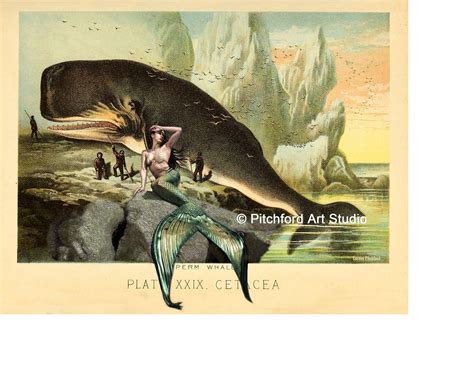 Vintage Mermaid And Whale Art Print Whale Lithograph Fine Art Print