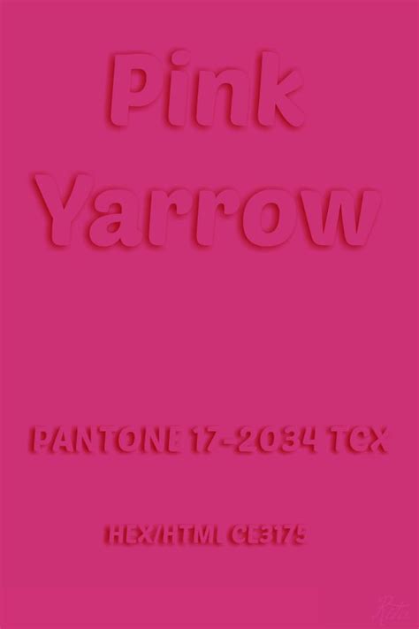 Pantone Pink Yarrow