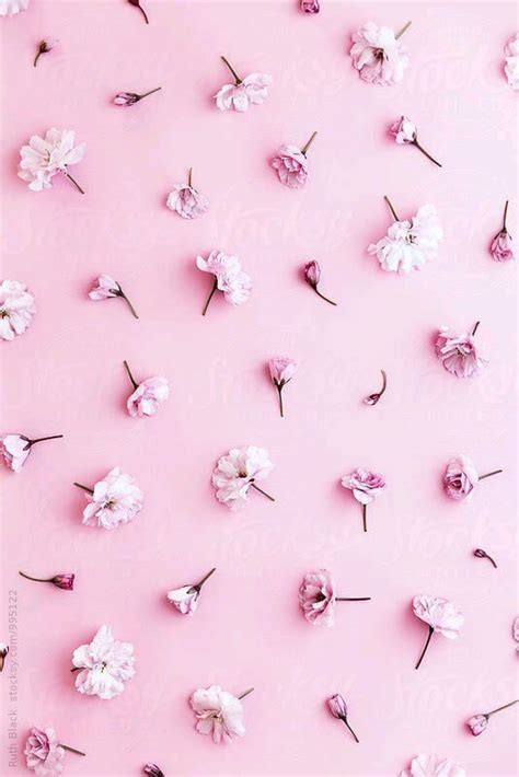 Pin By Nguyệt Vũ On I Want It All And I Want It In Pink Pink Flowers