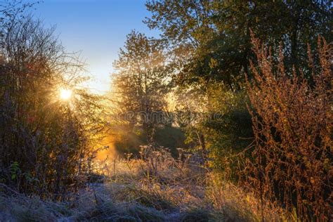 Sunrise On The Countryside In A Natural Landscape On A Cold Autumn