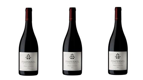 Top 5 Yarra Valley Pinot Noirs Evergreen Winery Tours