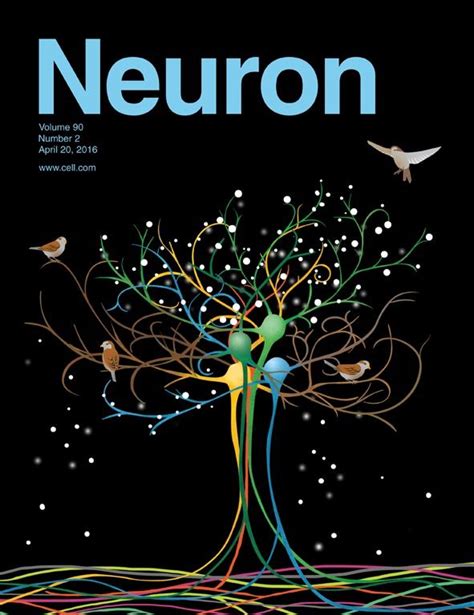 The Cover Of Neuron Magazine Featuring An Image Of A Tree With Birds