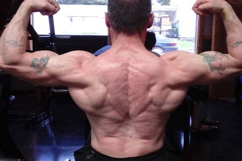 Maybe you would like to learn more about one of these? How To Build Back Muscles With The Help Of Different Exercises