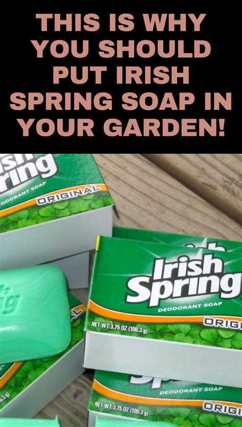 This Is Why You Should Put Irish Spring Soap In Your Garden