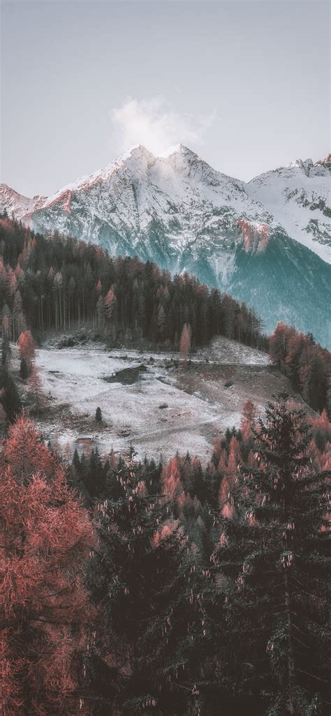 Icy Mountain And Green Trees Scenry Iphone X Wallpapers Free Download