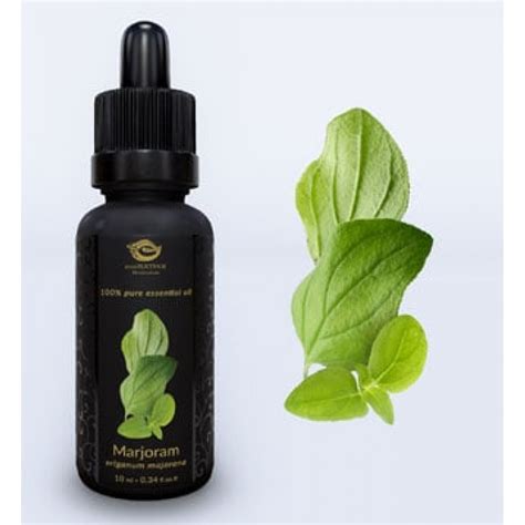 Marjoram Sweet Essential Oil