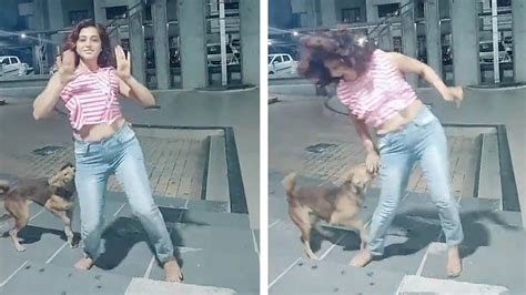 Womans Dance Gets Interrupted By Stray Dog Youtube