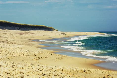 Tracy Property Services