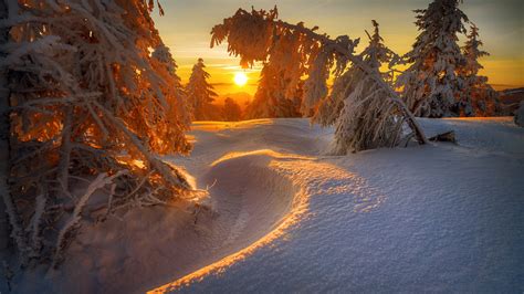 Snow Covered Landscape With Trees During Sunrise Hd Winter Wallpapers Hd Wallpapers Id 55358