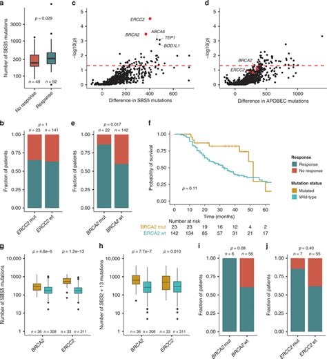 Brca2 Mutated Tumors Are Associated With Mutations In An Sbs5 Context