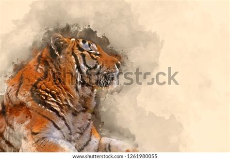 Digital Watercolor Painting Beautiful Tiger Relaxing Stok İllüstrasyon