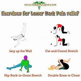 Exercises For Lower Back Pictures