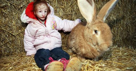 Smallest Six Year Old In World Charlotte Garside Meets Giant Rabbit