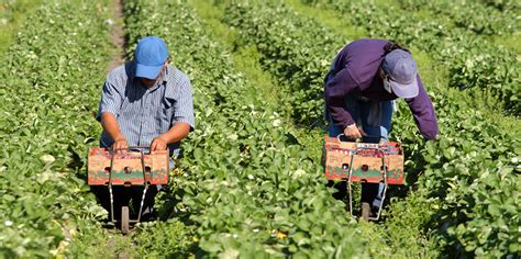 Croptracker Five Important Labor Law Changes For Californias Farm