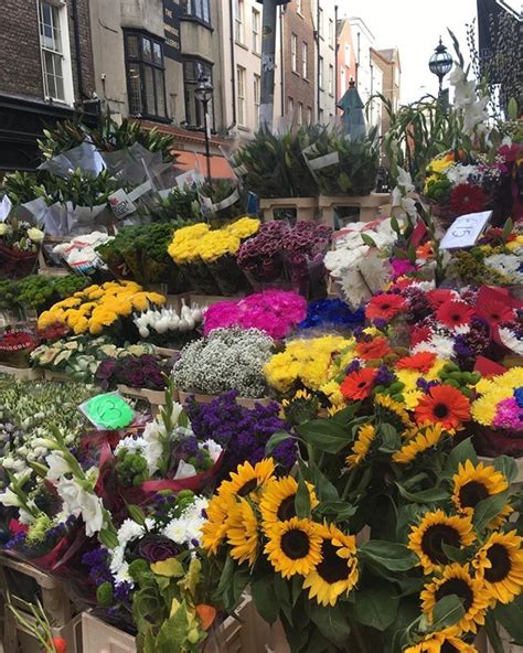 Buy floral craft oasis and get the best deals at the lowest prices on ebay! Flowers for sale on Grafton Street. #dublin #ireland # ...