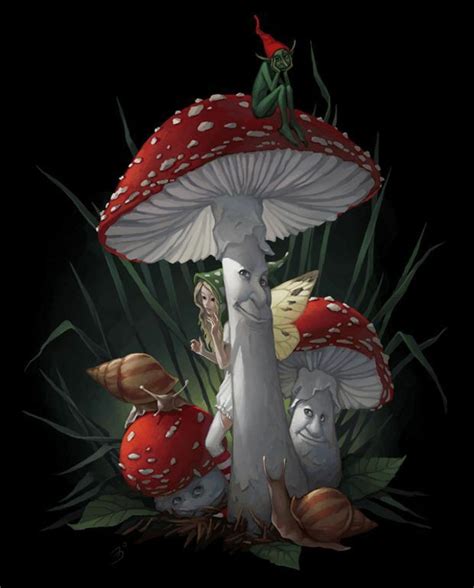 Sherri55 Decorah North Mushrooms And Fairy Whimsical Art Fairy