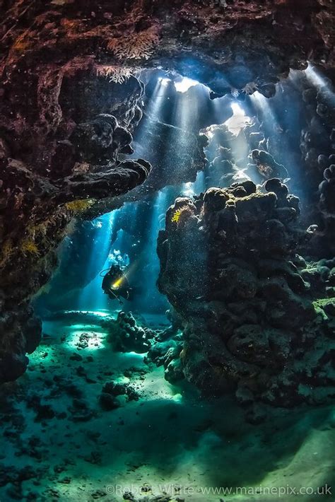 Torchlight Swim Ocean Photography Underwater World