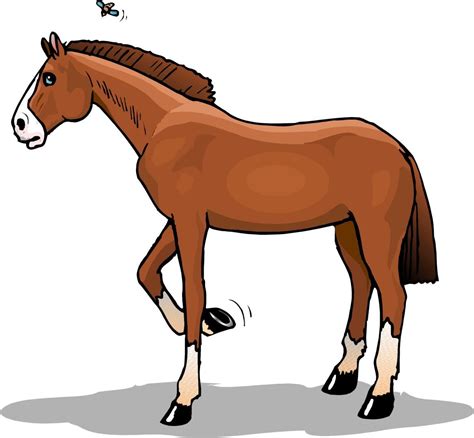 Caballo animales dibujo dibujos animados lindo 285 imágenes gratis de caballo dibujado. Caballo castaño :: Imágenes y fotos