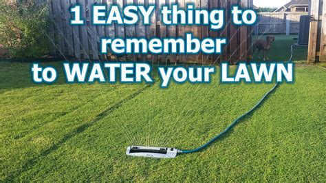 4 Simple Tips To Water Your Lawn The Right Way Watering Grass Isnt