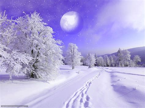 Descarca Imagini De Fundal Iarnă Zăpadă Natură Imagini