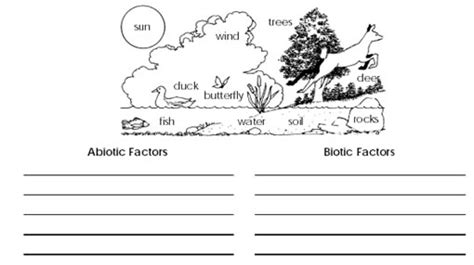 Abiotic vs biotic answer key. 7 Best Images of Pond Ecosystem Worksheets - Biotic and ...